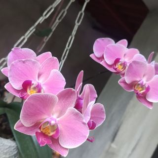 mary_santos79