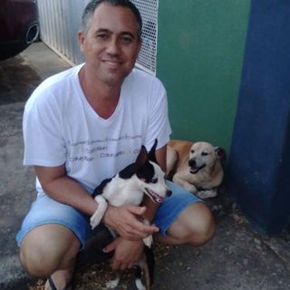 iramarpereiras