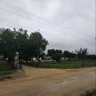 eraldocostademoura