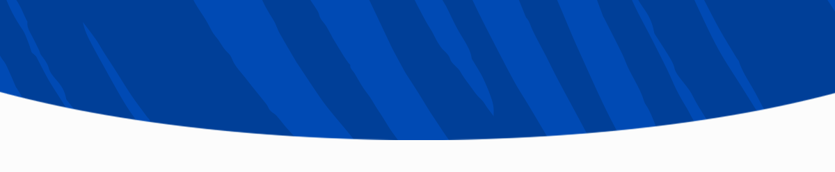 webp_image