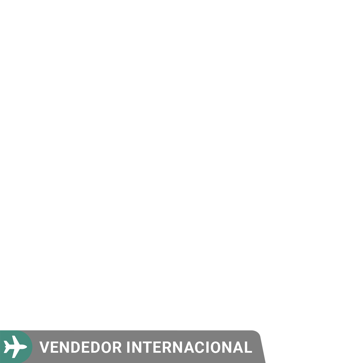 Vendedor Internacional