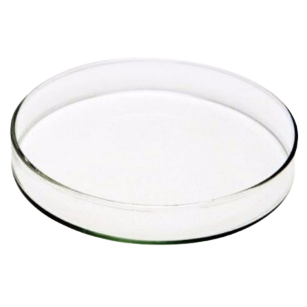 Placa de Petri em Vidro Tamanho: 150x25mm | Shopee Brasil