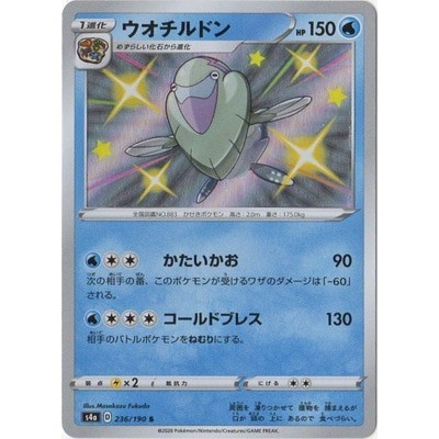arctovish v pokemon card TCG Ultra Rare Evolving Skies Full Art Holo 0 Colorless Retreat Cost Pokemon TCG - s6K -