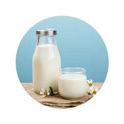 Alimentos e Bebidas
