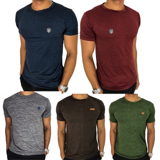 Kit 5 Camisetas Masculinas Dry Fit Malha Fria Moda Fitness Manga curta Tecido Treino