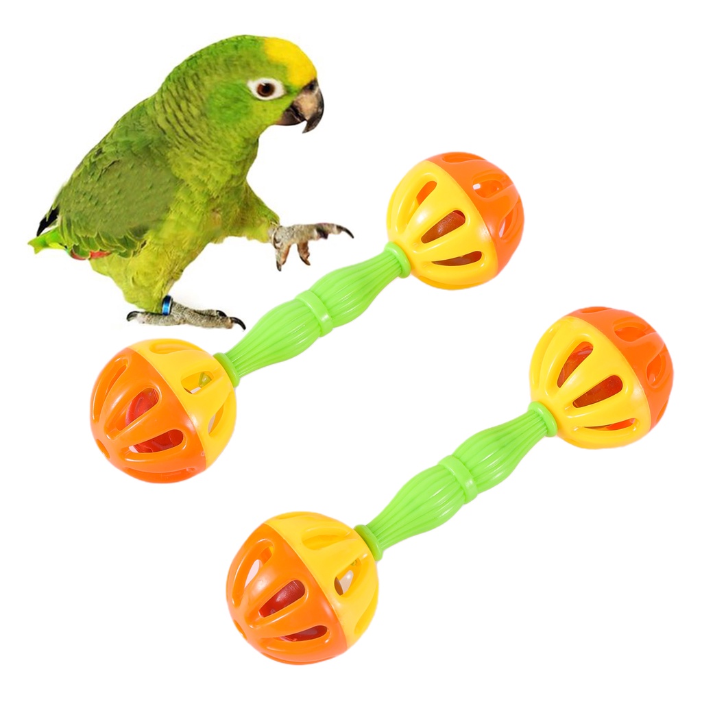 LUOZZY Conjunto de jogos papagaio de pinheiro de galinheiro brinquedo de  balanço, pássaro, tábua de pé (sortida) : : Pet Shop