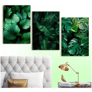 Kit 3 Placas Decorativas Quadros 28x40 Floral Folhagens Verde Costela De Adão