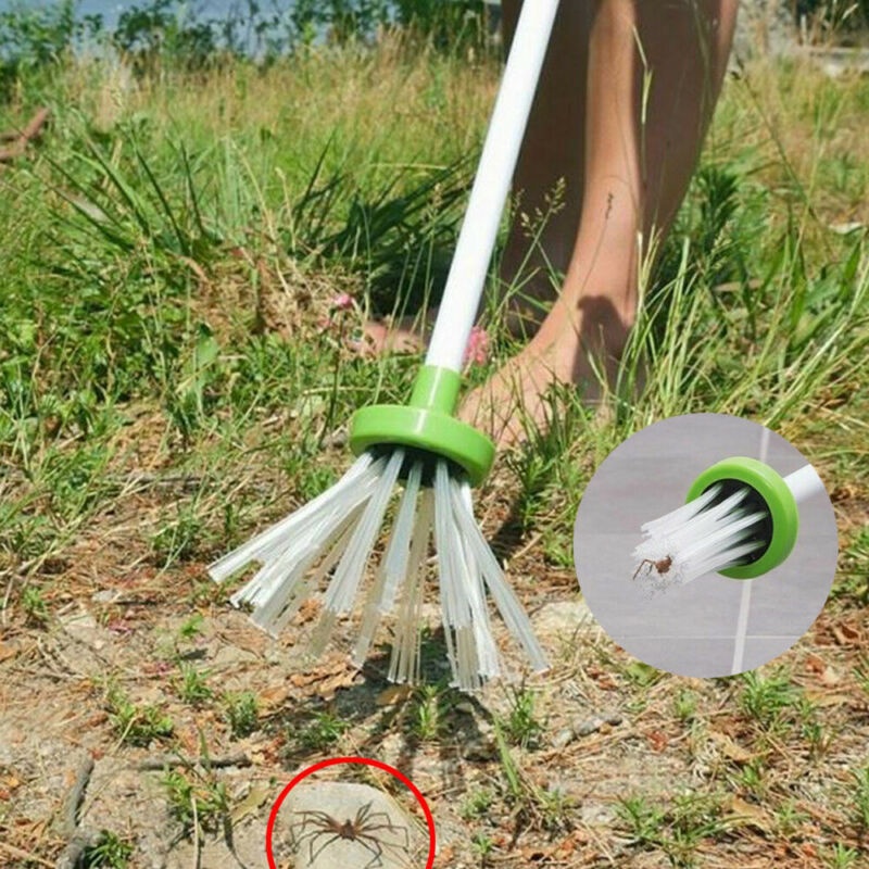 pegador de aranha entre outras pragas 