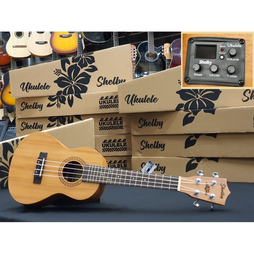 Shelby on sale ukulele concert