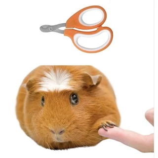 Cortador de Unha - Roedores (Porquinho da Índia, furão,chinchila,pdi, cuy, cuí, guinea pig, coelho)