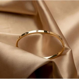 Aço Titânio 18K Rose Gold Bangle