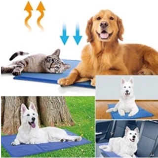 Tapete Refrescante Gelado Para Cachorro Gato Cão 50x65 Cm