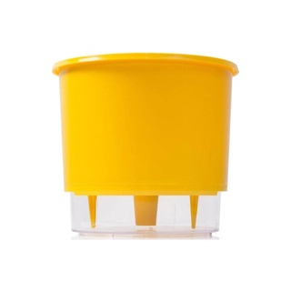 Vaso Autoirrigável Raiz Nº03 Com Sistema Antidengue 16x14