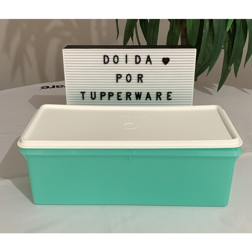 Caixa Freezer 6 L Tupperware Completa OU Acessórios de Reposição