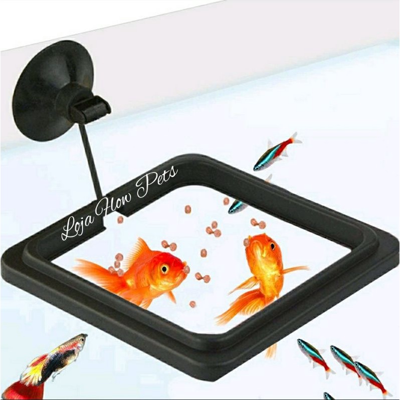Alimentador Flutuante Para Aquários/Peixes Com Ventosa