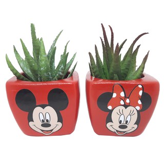 2 Vasinhos Mickey E Minnie Para Colocar Suculentas E Cactos Decoração