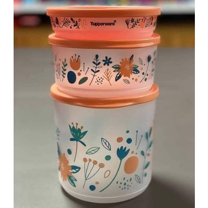 Kit Refri Line Tupperware | Shopee Brasil