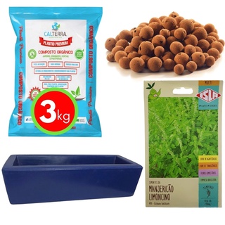 Kit Horta Plantio Fácil de Manjericão e Jardineira Azul