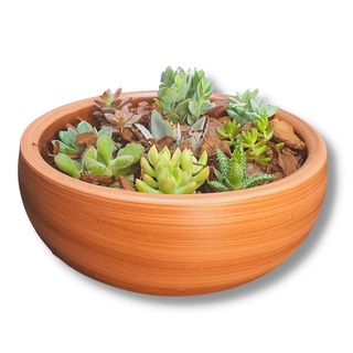 Vaso de Cerâmica Arranjos de Cactos e Suculentas 33cm Tabaco