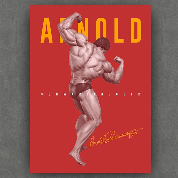 Arnold Schwarzenegger Poster Bodybuilding: Onde Comprar | BuscaProdutos