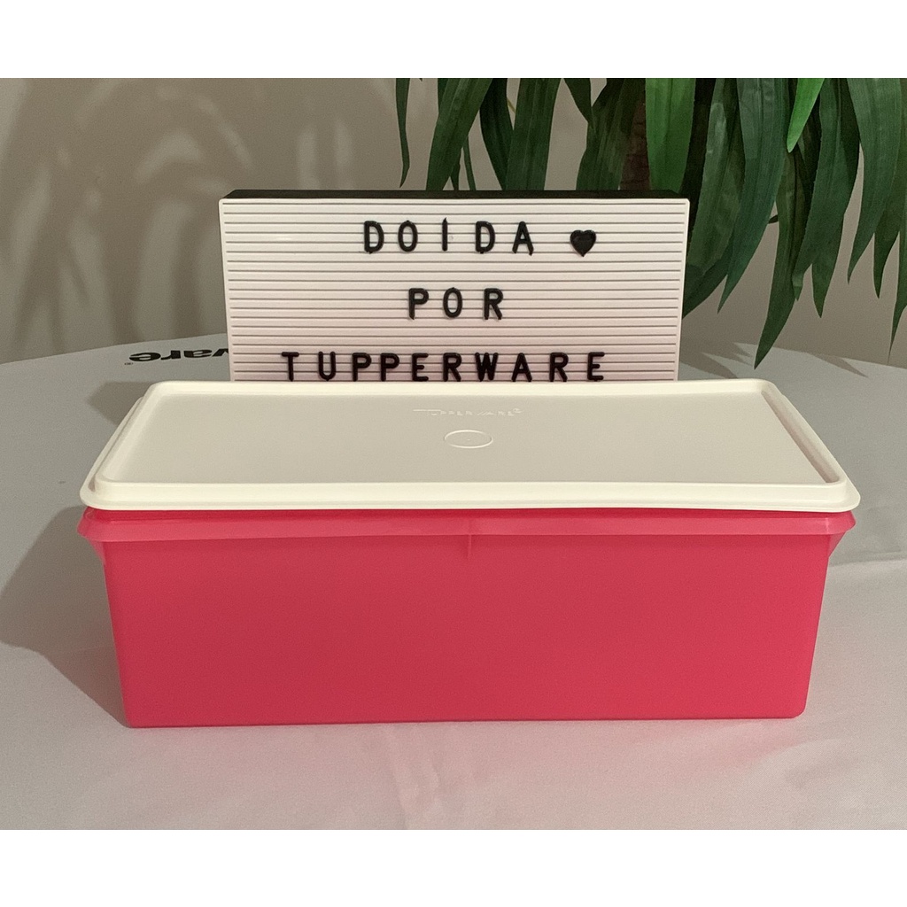 Caixa Freezer 6 L Tupperware Completa OU Acessórios de Reposição