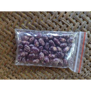 150 Sementes Crioulas de Feijão Amendoim Roxo Para o Plantio / Roxinho ...