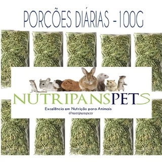 Feno Coast Cross Premium - Porção Diária 100g