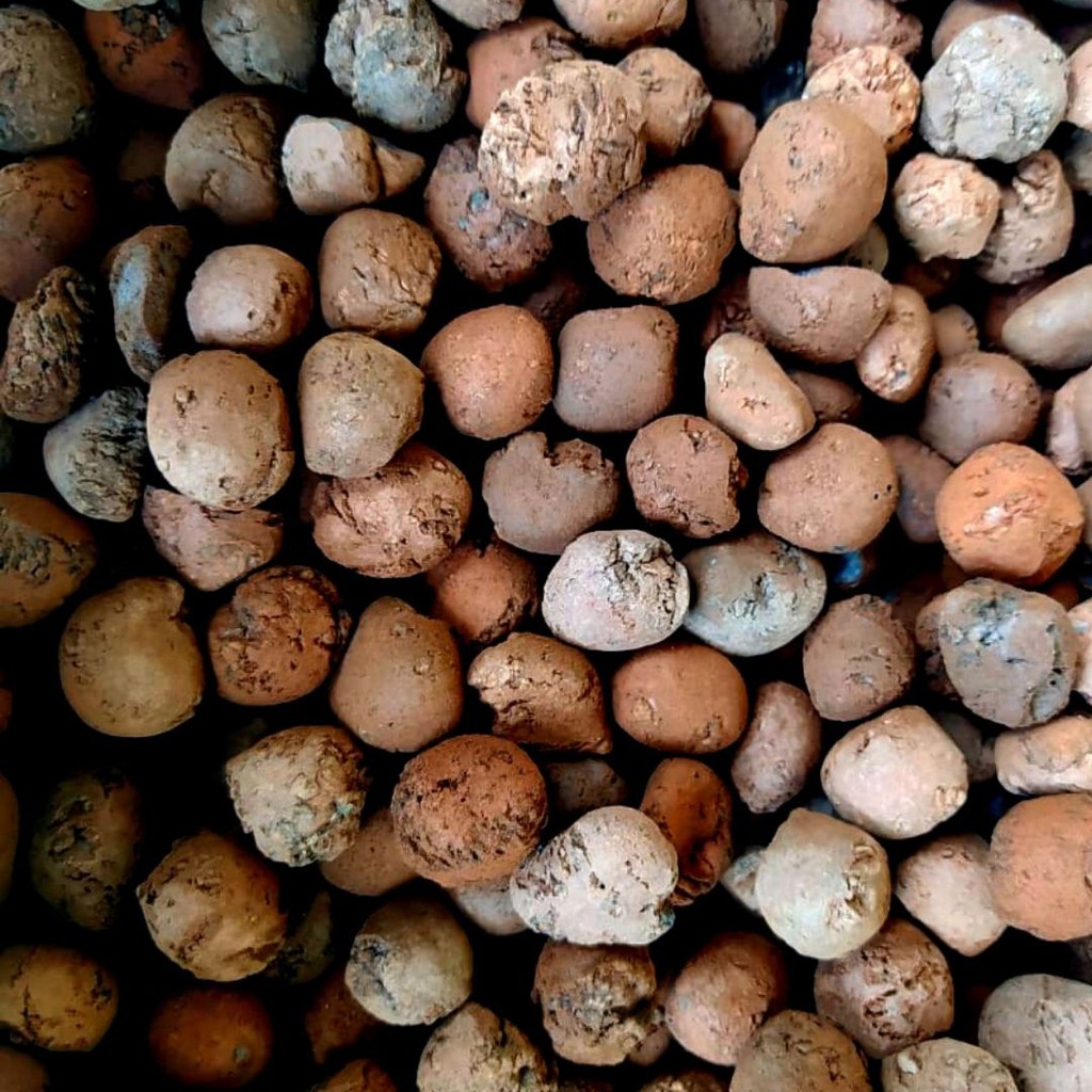 Drenagem para plantas Argila Expandida 1kg | Para Plantas, Jardins, Ornamentação e Decoração