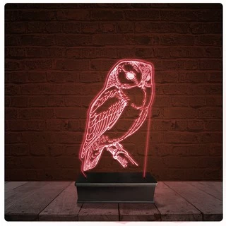 Abajur Luminária Acrílico Led - Coruja Ave falcoaria