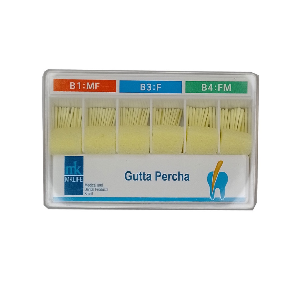Cone de Guta Percha Acessória Sortido BS MKLife Shopee Brasil