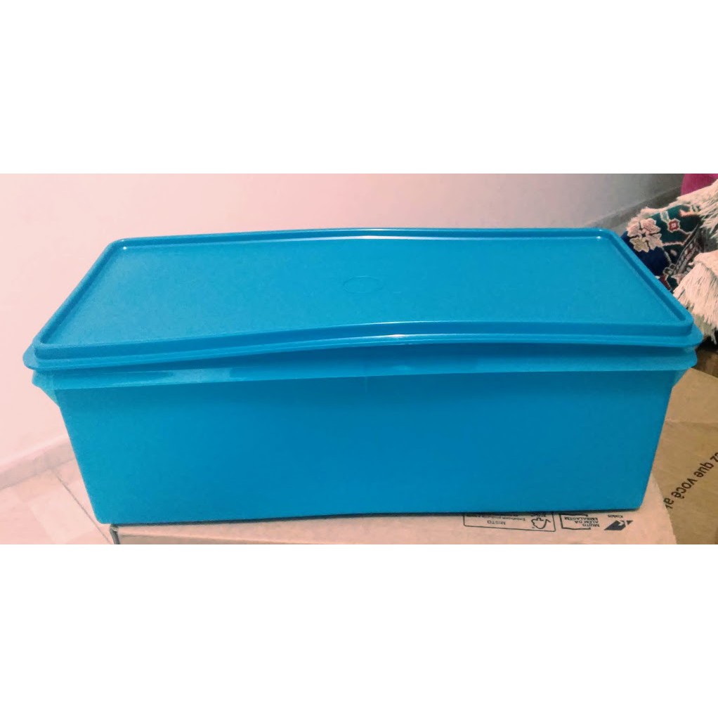 Tupper Jumbo/Mega Caixa 6 Litros Tupperware DIVERSAS CORES | Shopee Brasil
