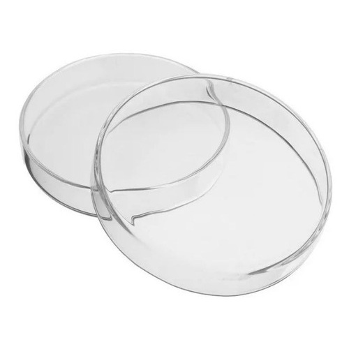 Placa De Petri De Vidro 60x15mm - 10 Unidades | Shopee Brasil