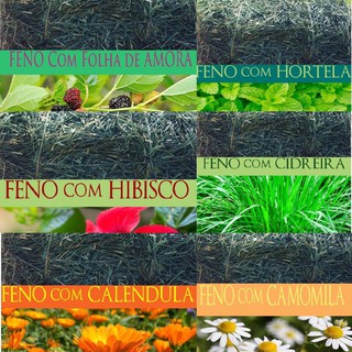 Combo Feno premium NUTRIPANSPETS 6 und. 100g cada feno saborisado com amora hortela hibisco cidreira calendula camomila