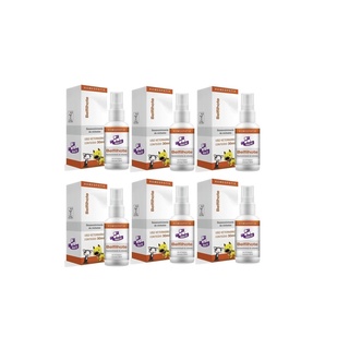 Combo 6un Belfilhote Homeopatia Real H Para Cães E Gatos 30ml