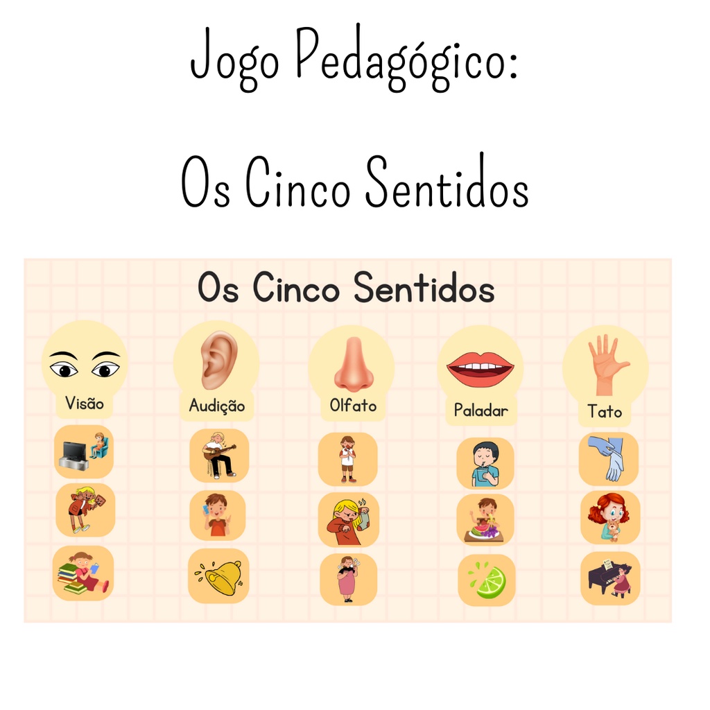 jogo-dos-cinco-sentidos-brinquedo-pedag-gico-shopee-brasil