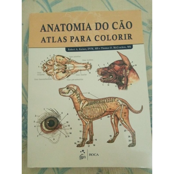 Anatomia Do Cão Atlas Para Colorir Shopee Brasil 0963
