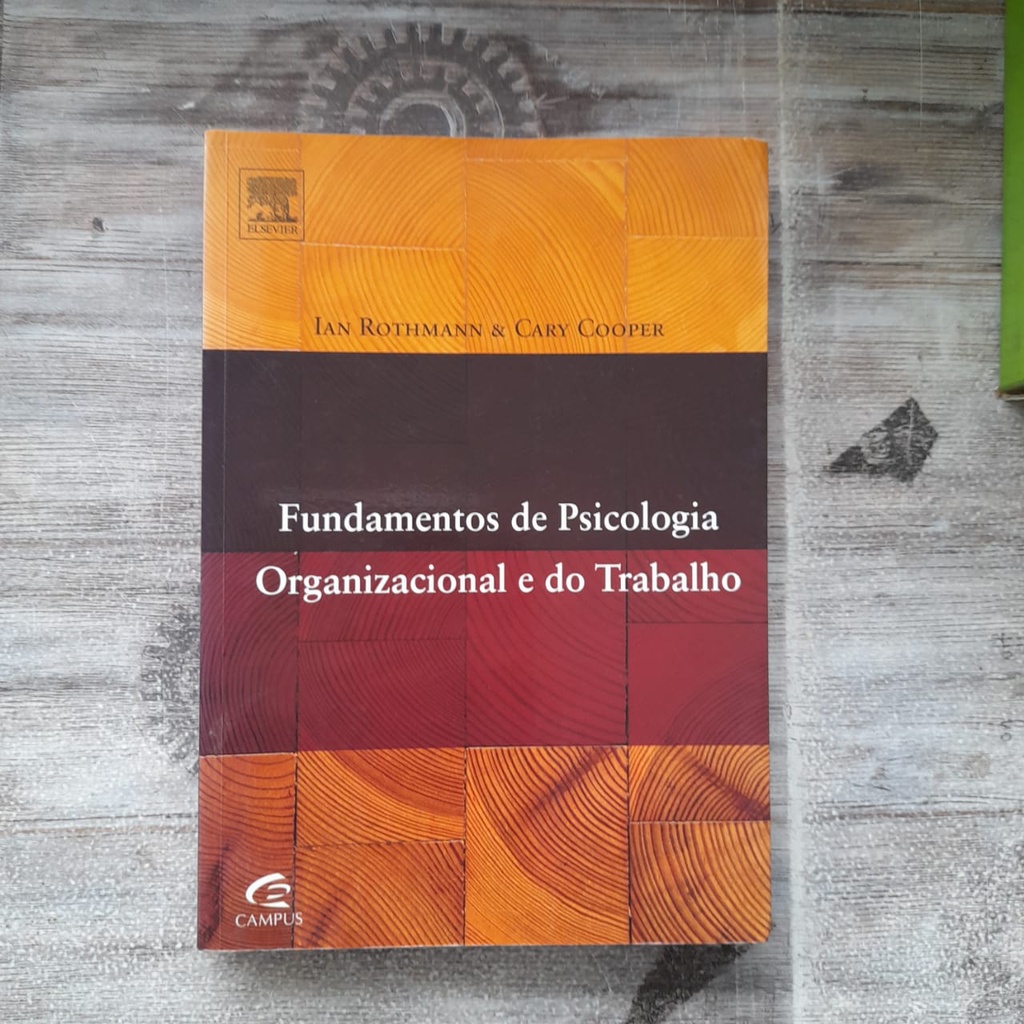 Fundamentos de Psicologia Organizacional e do Trabalho - Ian Rothmann e ...