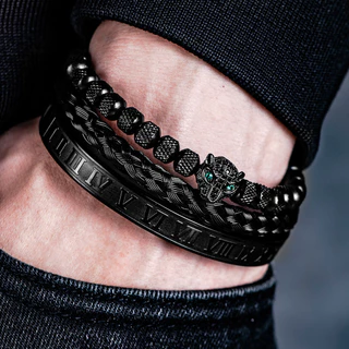 3 Peças/Conjunto Pulseira Clássica De Tecido À Mão Hip-Hop Pavé Diamante Cabeça De Leopardo Números Romanos De Aço Inoxidável Jóias Presente