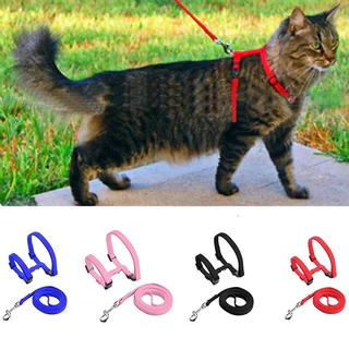 Coleira Para Gato Cachorro Pequeno Porte Com Guia