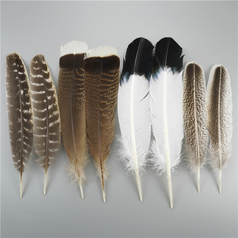 10Pcs/Lot Penas De Águia Natural Para Artesanato Pluma Cabeleireiro Acessórios Decoração De Férias Carnaval Artesanal De Bricolage