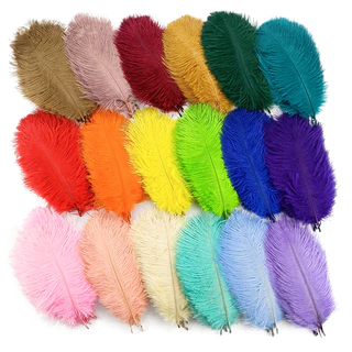 10Pcs Penas De Avestruz Coloridas Para Artesanato Decoração De Casamento Acessórios De Peças De Centro De Mesa 15-20cm Plumas De Carnaval