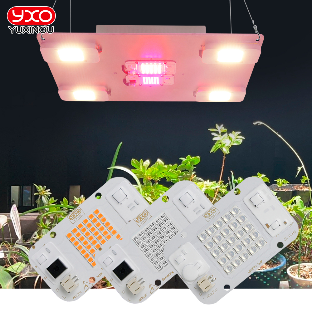 Samsung Quantum 300W LED Grow Light LM283B + Phyto Lamp Com Interruptor ...
