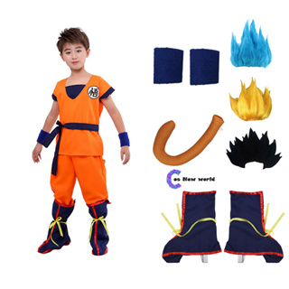 Peruca Goku Infantil Cabelo Saiyajin Cosplay - Lua de Cristal Fantasias -  Máscaras e Acessórios