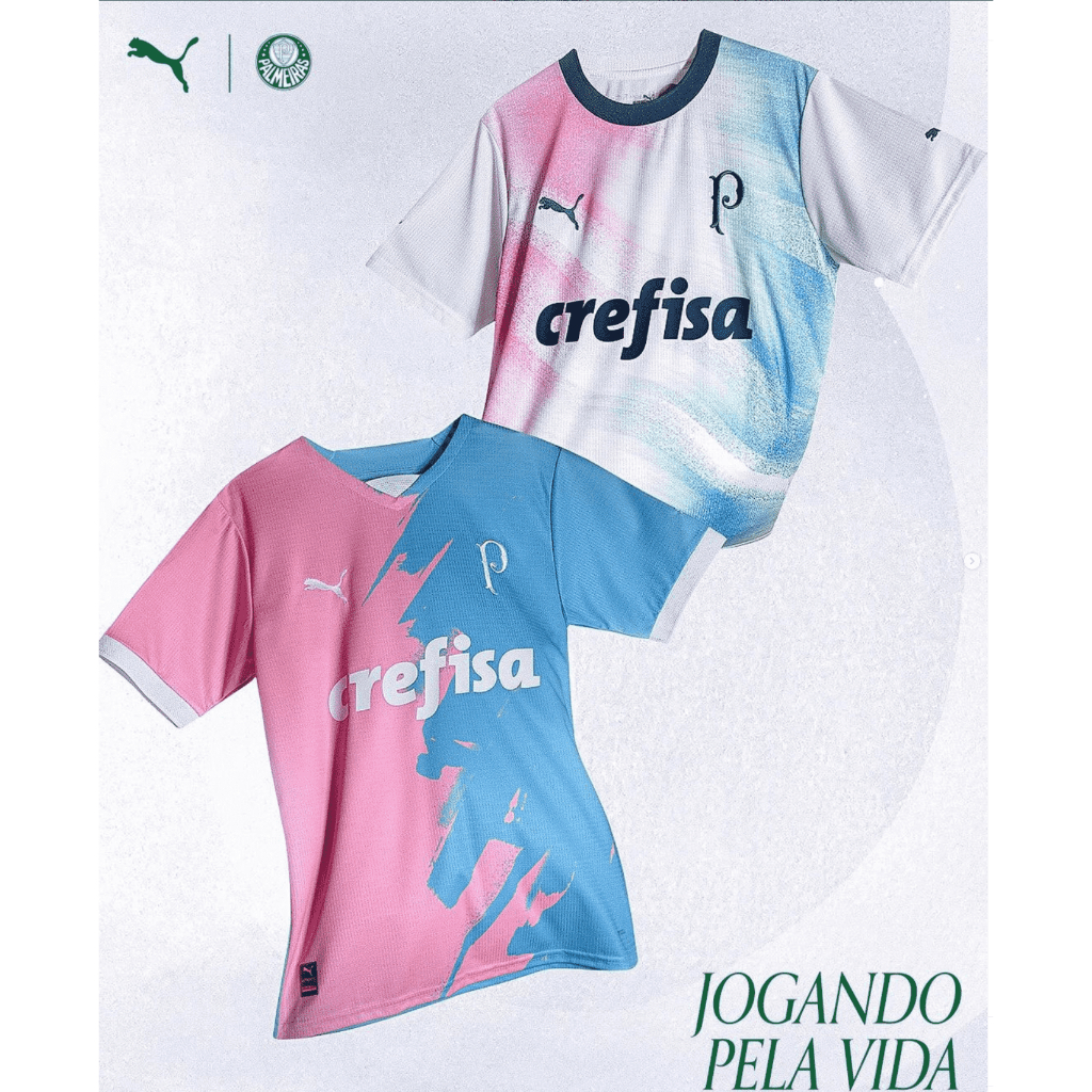 Camisa De Time 2023 Palmeiras Outubro Rosa/Novembro Azul Football moletom