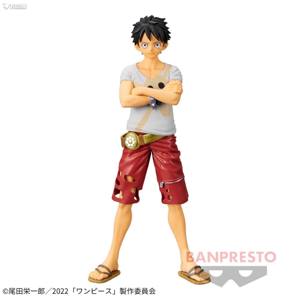 Luffy White Luffy Cosplay Traje para Homens e Mulheres, Gear 5, Roupas  Macaco, Roupa Unissex, Chapéu, Sapatos, Novo Nascido, Gear 5