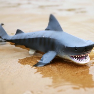 Jogo Pega Bolinhas Tubarão Brinquedo Divertido Criança
