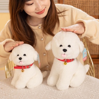 Bichon frise best sale teddy bear