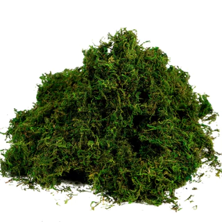 10g/20/50g Musgo Artificial Manchado Verde Falso Para Peças De Centro De Bricolage Decoração De Jardim De Cozinha