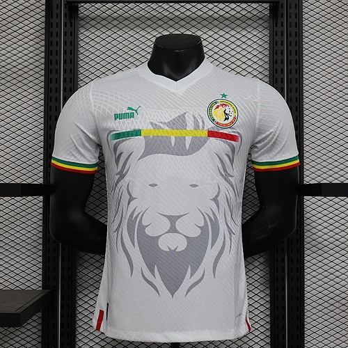 Camiseta Bandeira de Senegal
