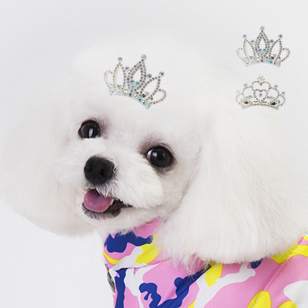 Acessórios para Pêlos de Pêlos de Cães com Coroa de Pérola de